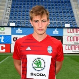Profile photo of Vasek